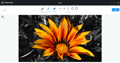20 Photo Editor (Ex-Aviary) -splash-smart color 20 Photo Editor (Ex-Aviary) -splash-smart color