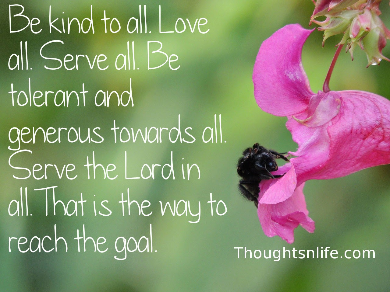 Be kind to all. Love all. Serve all. Be tolerant and generous towards all. Serve the Lord in all. That is the way to reach the goal.