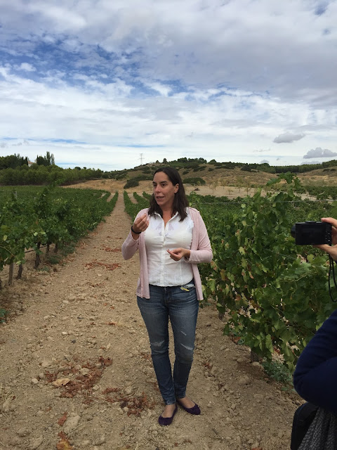 vendimia-bodega-senorio-val-azul6