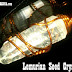 Orgonite Lemurian Crystal (Lemurian Seed Crystals)