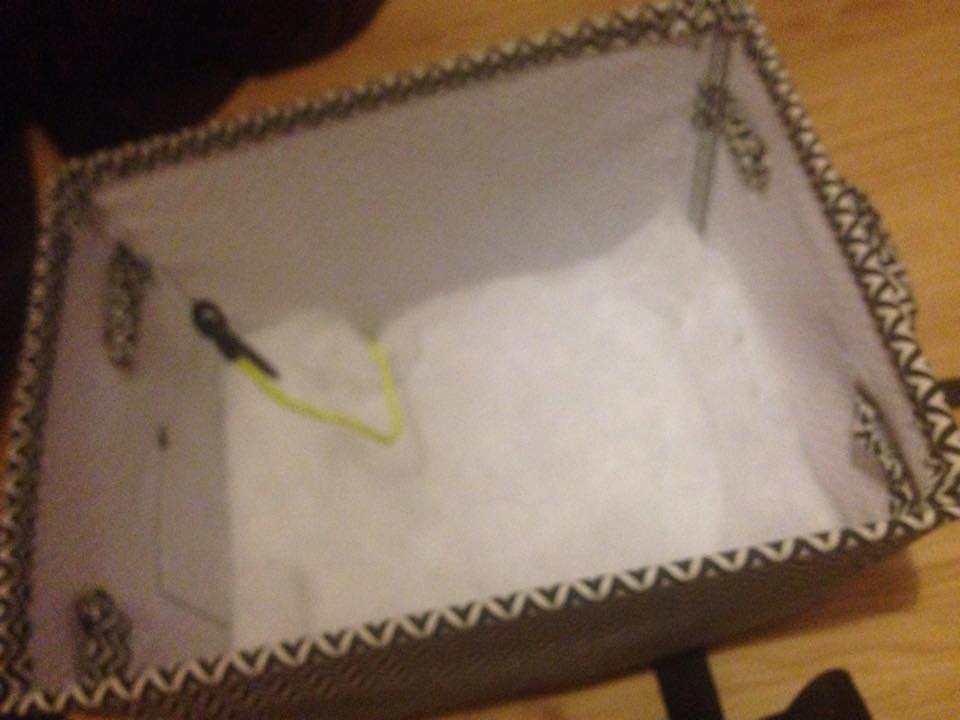 DIY Projects With The LeBanes DIY CenterConsole Dog Carseat