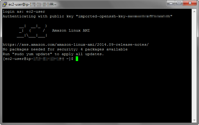 amazon linux install nodejs amazon linux install nodejs