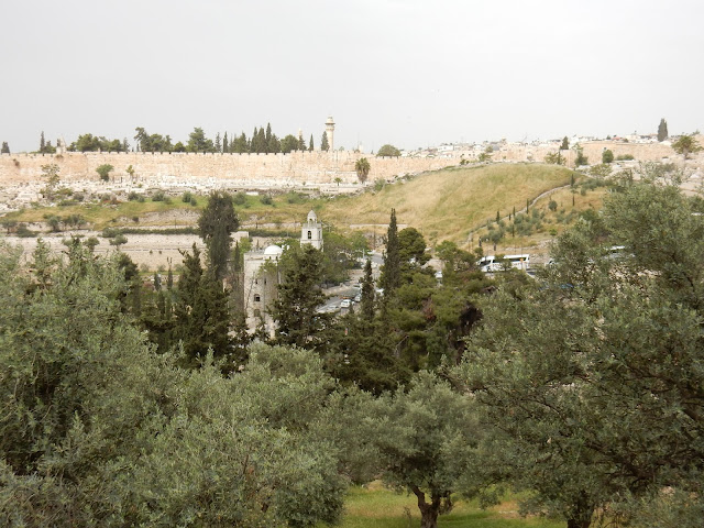 Mont des Oliviers, Getsemaní, Jérusalem, Israel