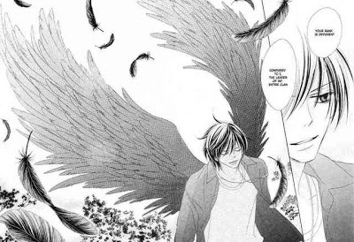 Selah's Manga Mania: Black Bird, Vol. 1 by Kanoko Sakurakouji | I Smell  Sheep