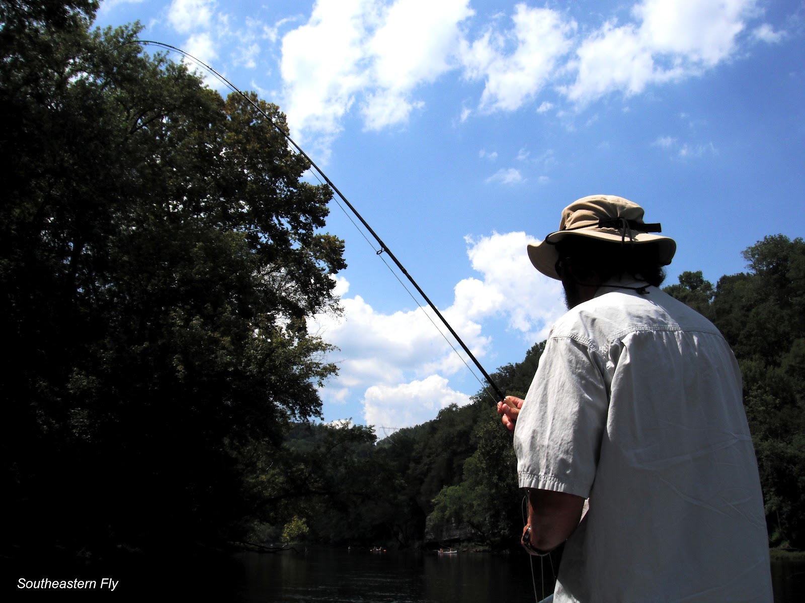 Southeastern Fly: Weekly Elk River and Caney Fork Fly Fishing Report