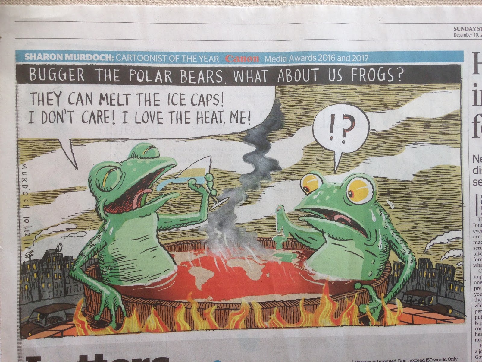 Mangaiti Gully Restoration Group Cartoon of the frog and climate change.