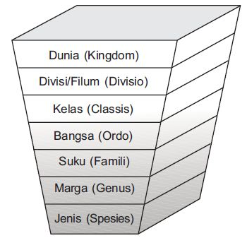 Sistem Klasifikasi Makhluk Hidup Lengkap !!