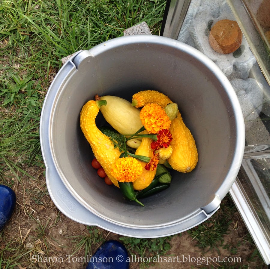 bucket of produce by Sharon Tomlinson