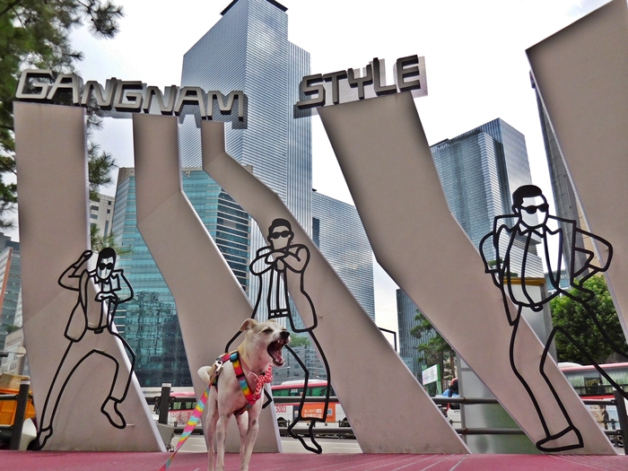 HAPPY is Gangnam Style! HAPPY goes to Seoul, Korea!