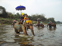 Haat Siao Elephant Festival