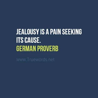 Jealousy is a pain seeking its cause. 