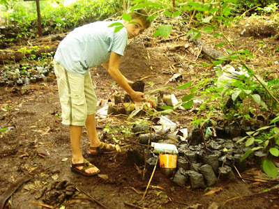 reforestation in Nicaragua