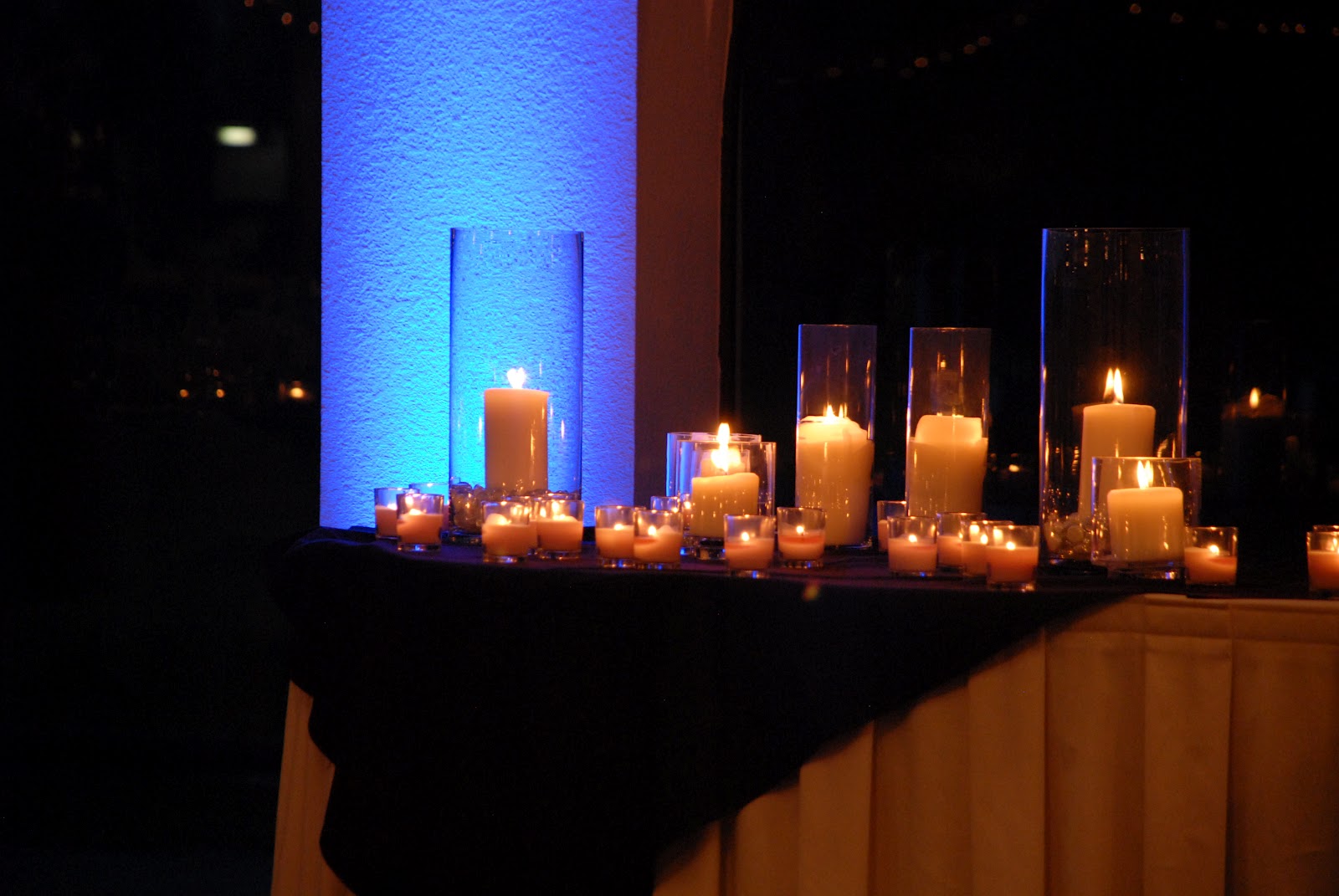 Tara Harrell Photography