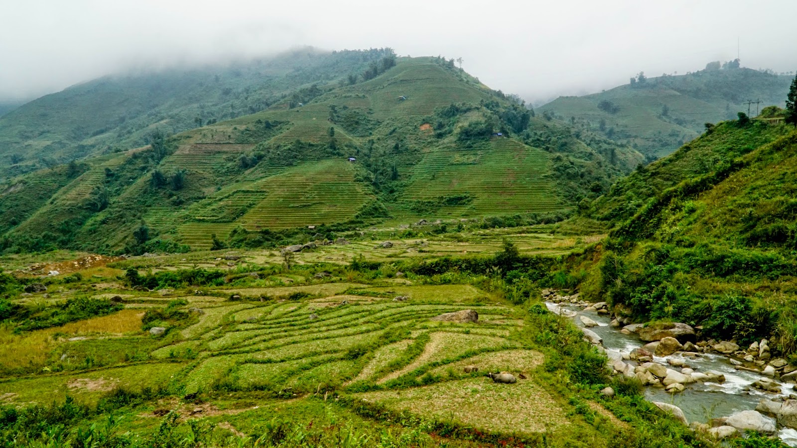 The valley near Trung Chai