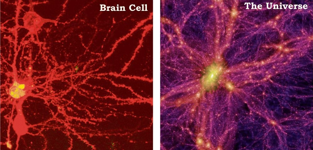 So some silly deepak chopra fanboy sent me this photo today. : r/askscience