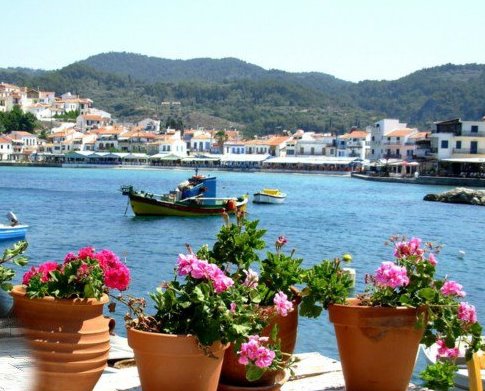 BUNGA: Alamku Yang Indah