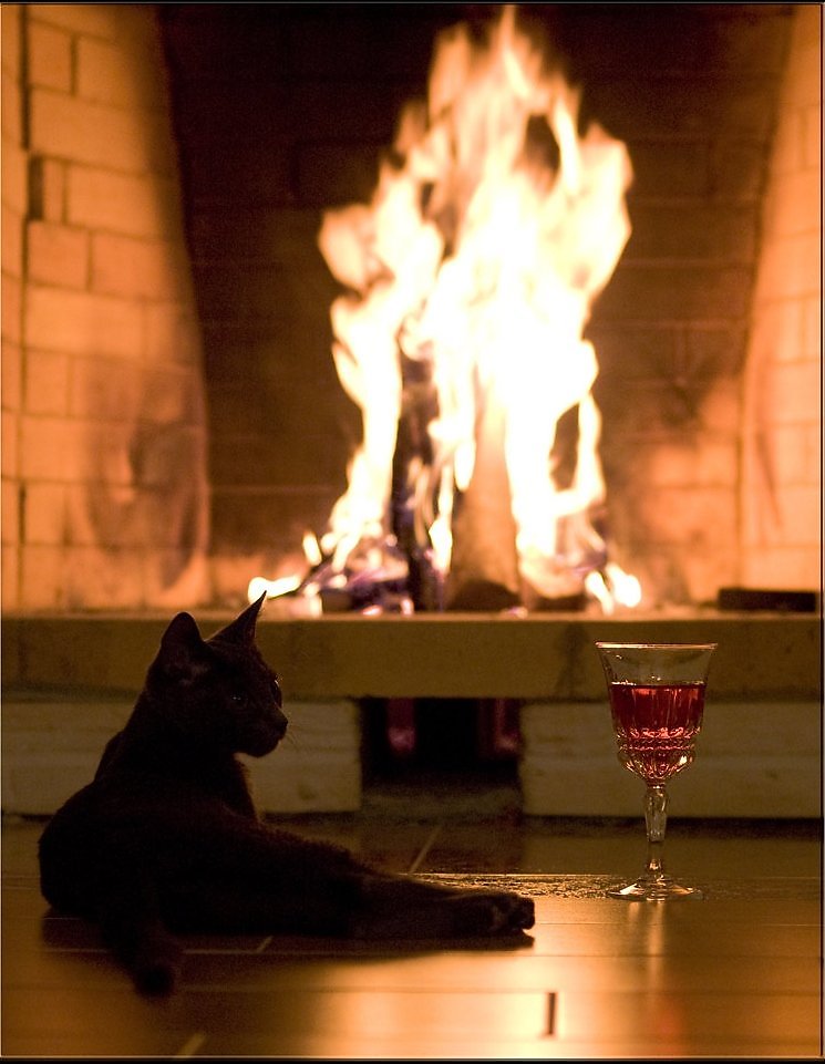 Елка в Зазеркалье Елка в Зазеркалье