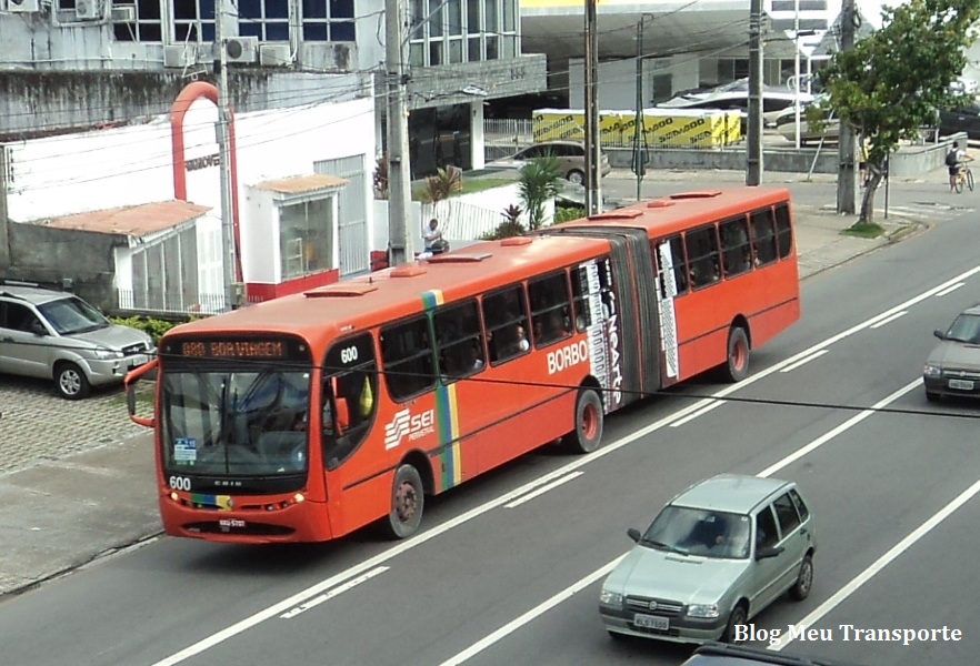 PE Ônibus articulados do Recife homenageiam Luiz Gonzaga O dia a dia do nosso