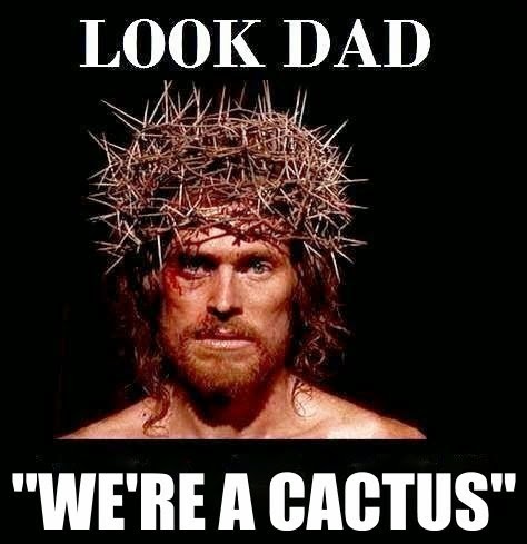 Funny God Jesus Cactus Meme Joke Picture