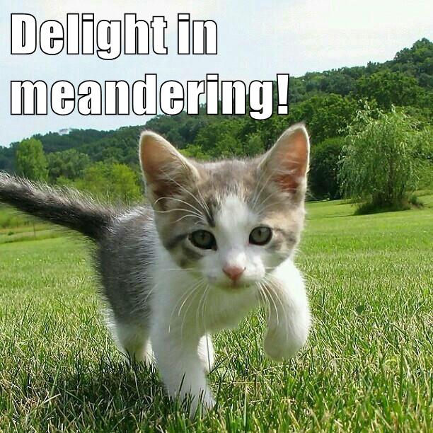 Growth Mindset & Feedback Cats: Delight in meandering!