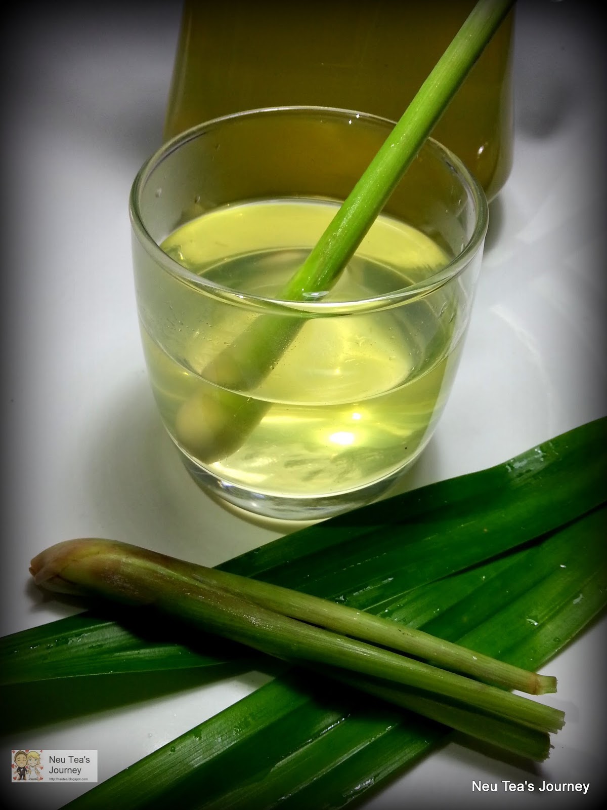 Neu Tea's Journey Pandan Lemongrass Drink 香兰香茅水