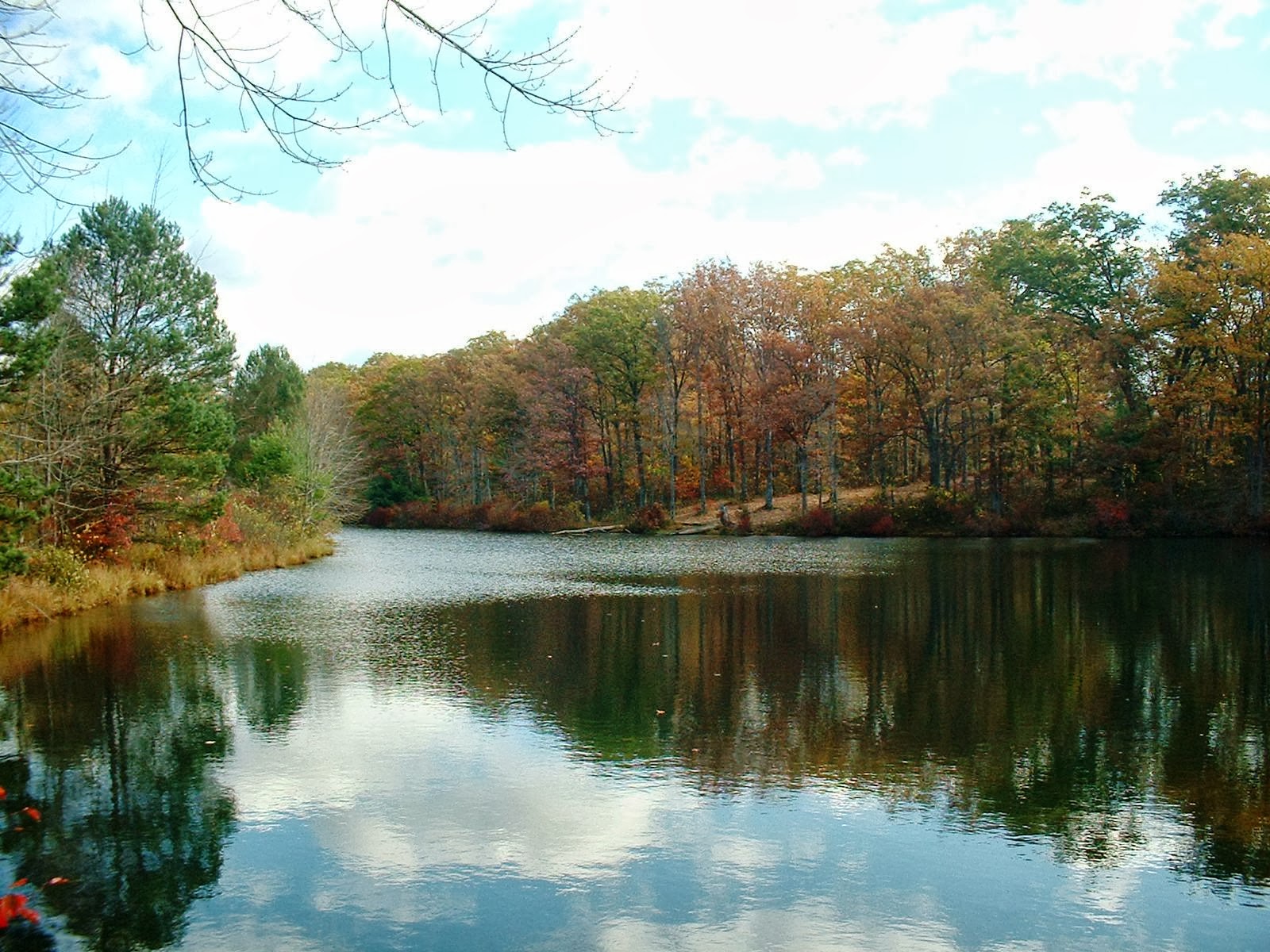 Frank's Place Rocky Glen Park