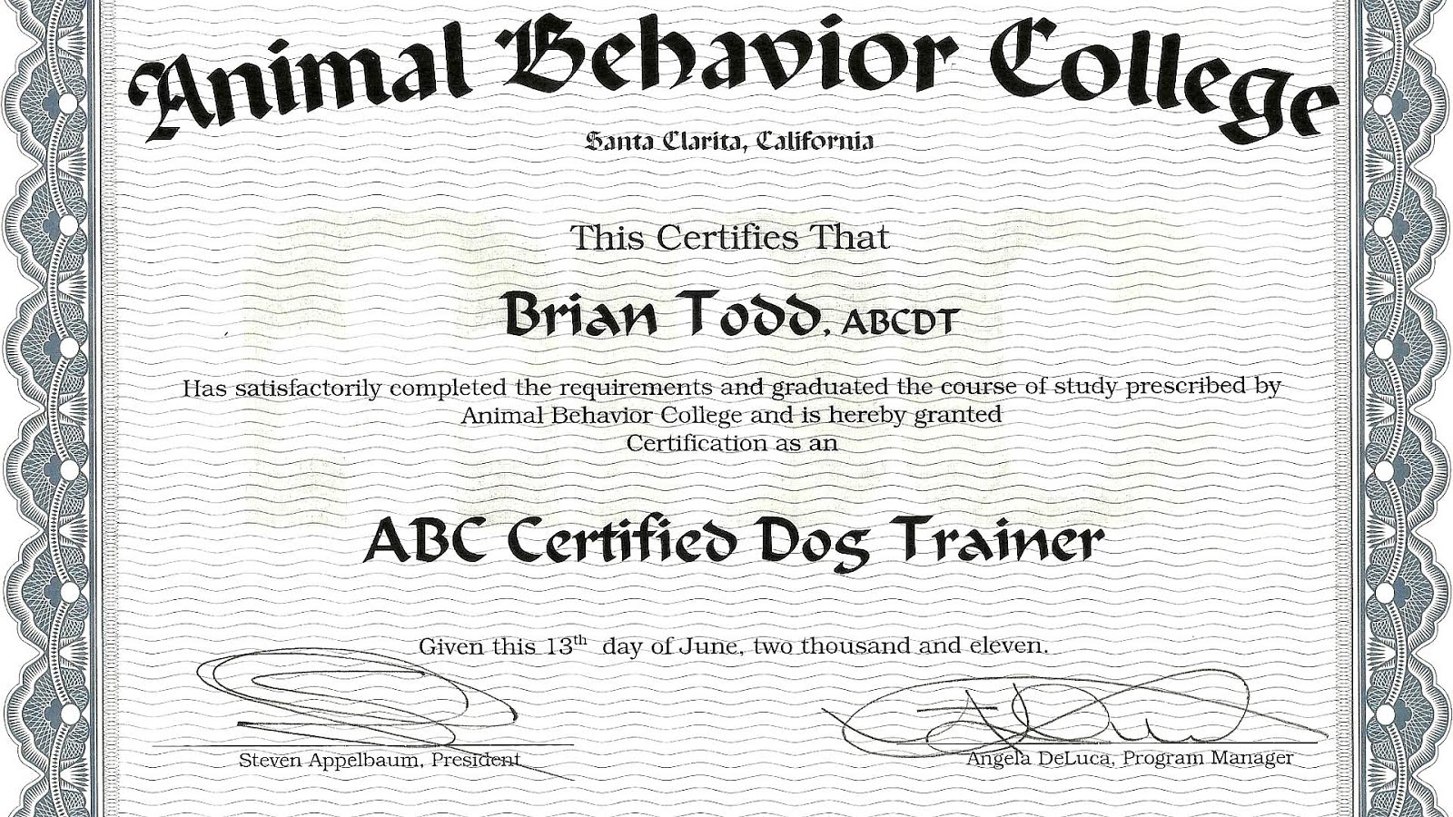 Dog Training Certifications Dog Choices
