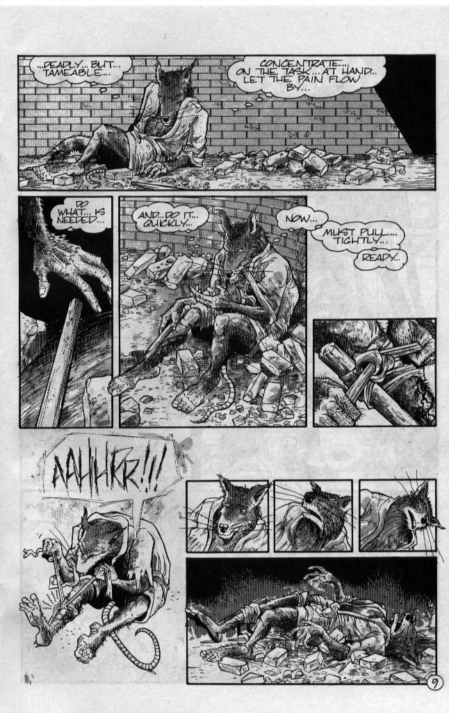 Teenage Mutant Ninja Turtles (1984) Issue #54 #54 - English 10