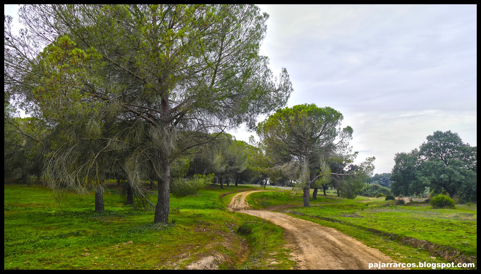 PajarrArcos Parque Periurbano La Suara