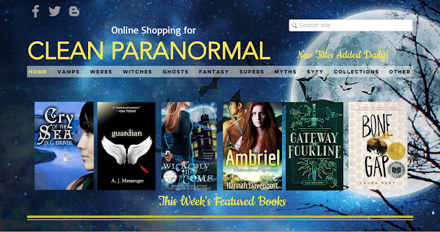 www.cleanparanormal.com