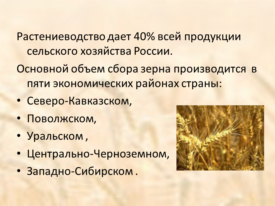 Презентация сельское хозяйство растениеводство 9 класс география полярная звезда