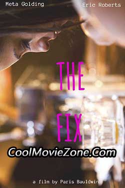 The Fix (2015)