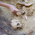 Останки на хора с удължени черепи са открити в Кабардино-Балкария