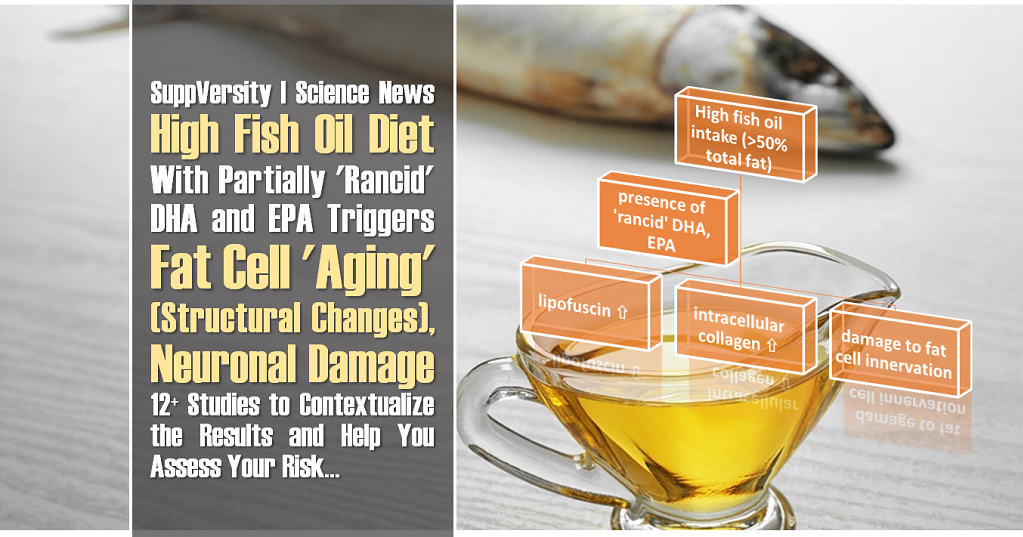High Fish Oil Diet N3Oxidation Fat Cell 'Aging', Plus Neuronal Damage
