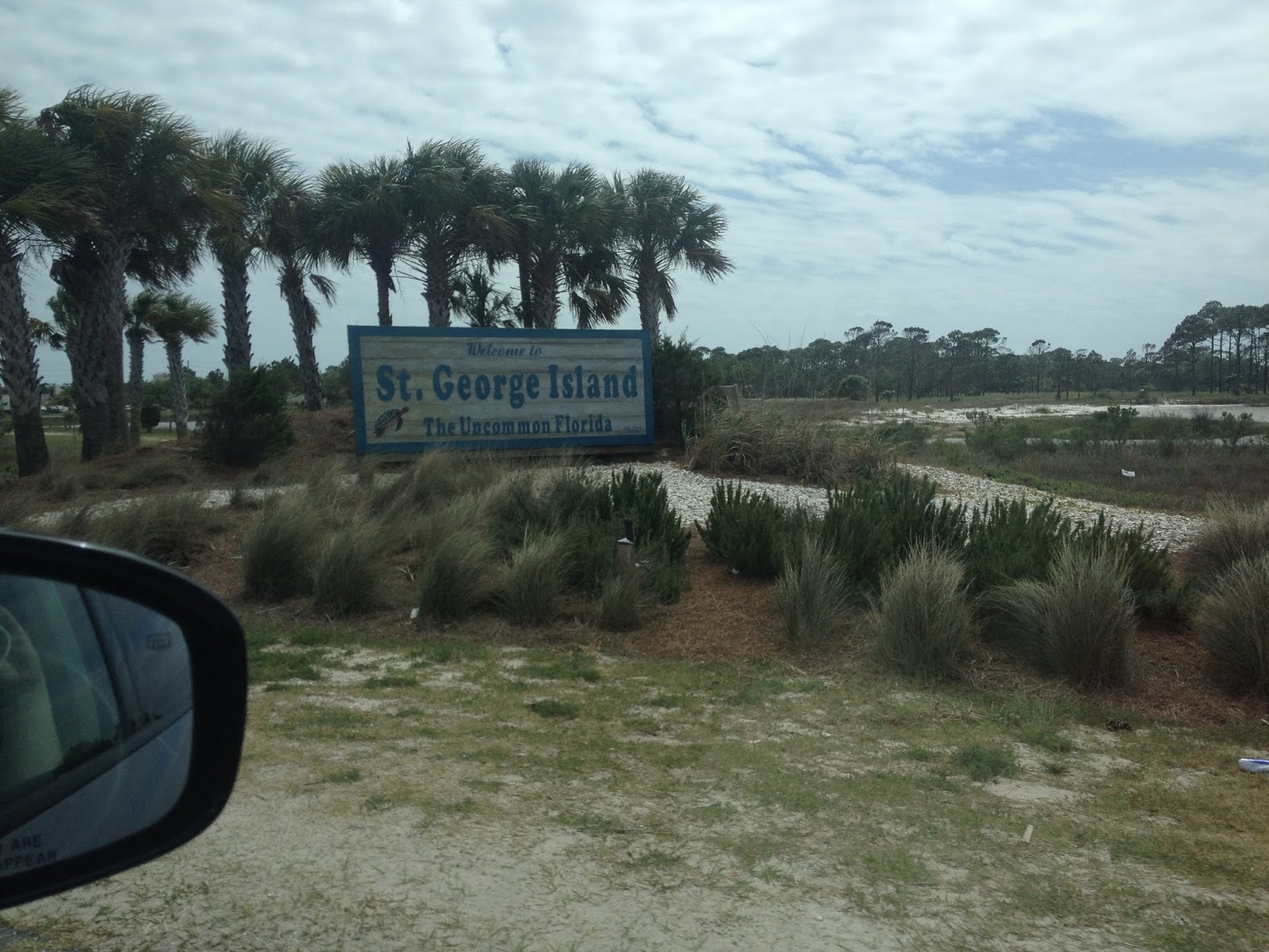 The Wandering Four St Island State Park, FL