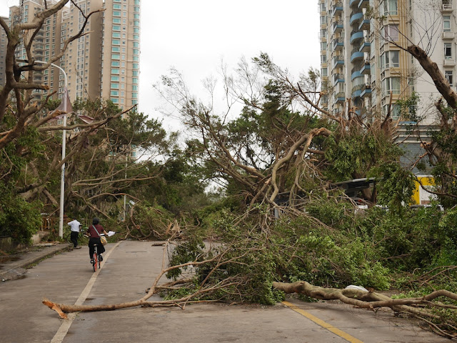 people making their way through debris from Typhoon Hato at the Bay Bar Street in Zhuhai