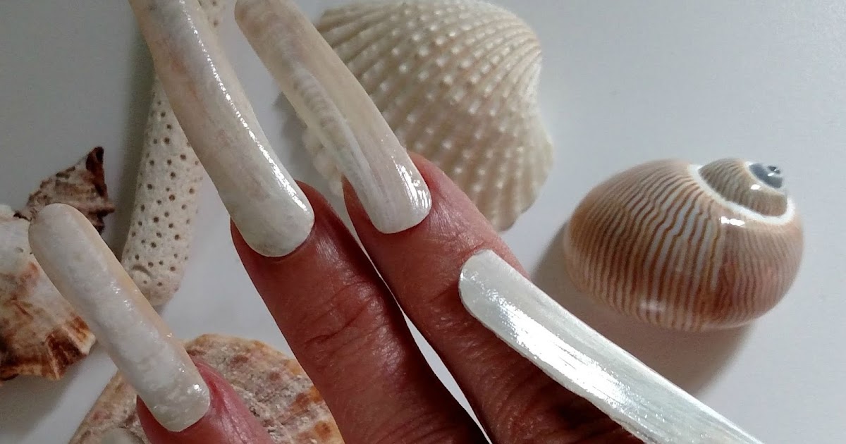 4. Sea Shell Nail Stickers - wide 2