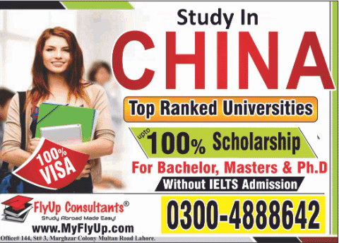 master scholarships in china