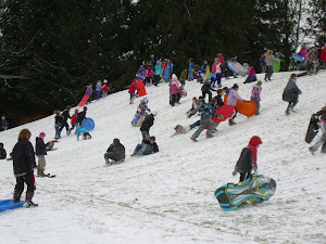 Everyone Had a Wonderful Time Sliding Down the Hill!