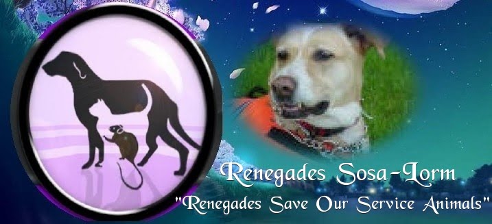 RENEGADES SAVE OUR SERVICE ANIMALS FOUNDATION (Renegades Sosa-Lorm)