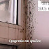 Средство от грибка