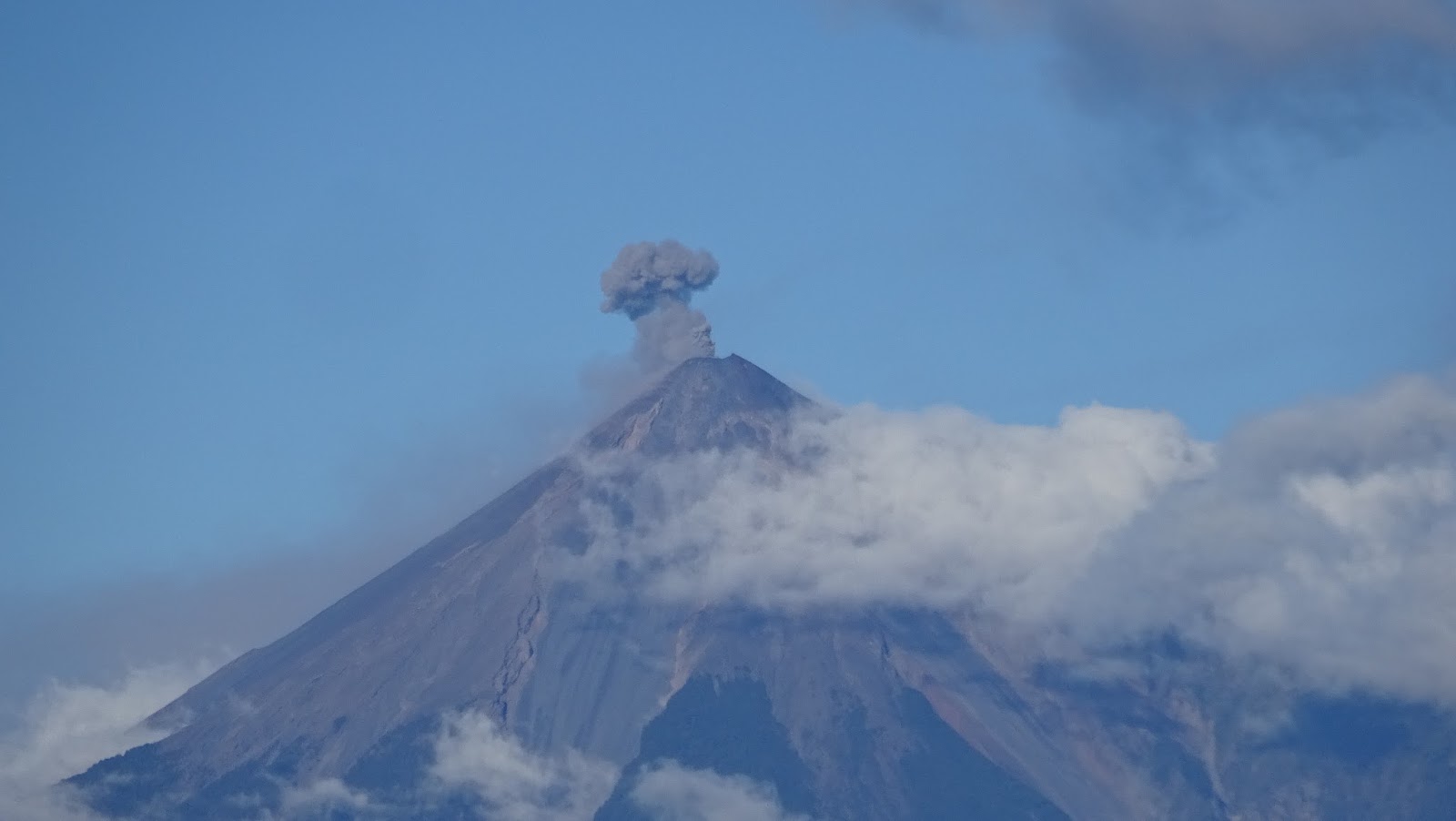 Sarah S Draw Sarahahツ Pages Directory