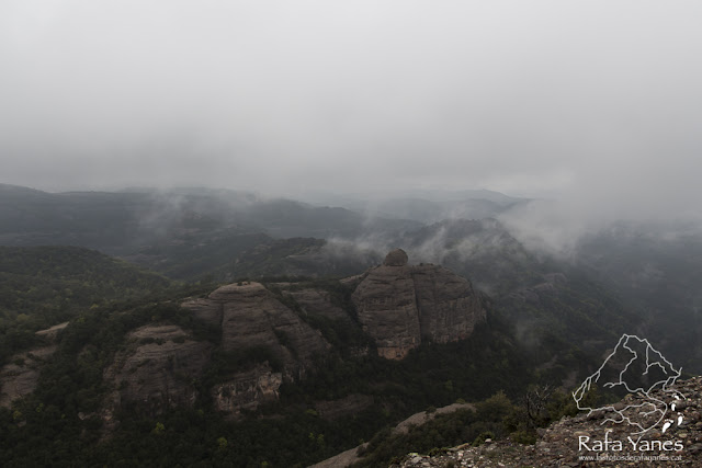 Ruta: Els Cortins y Cova Simanya