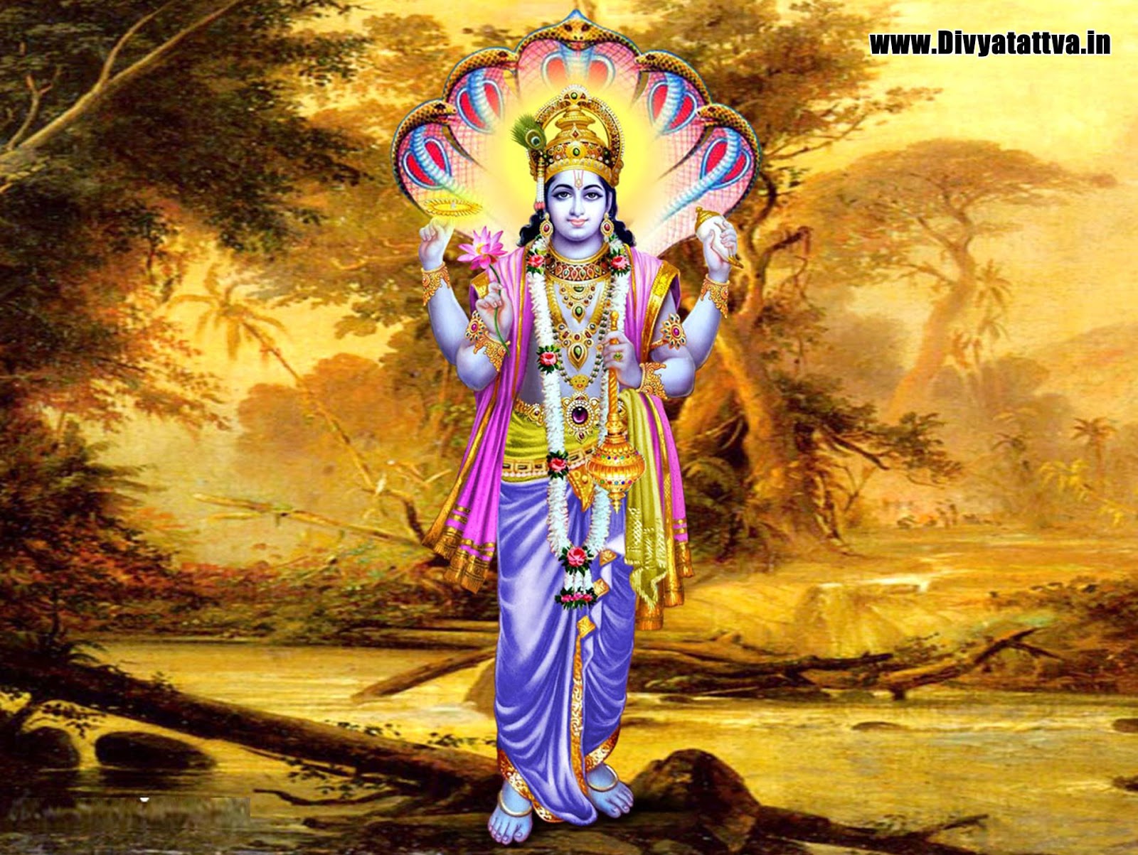 Lord Vishnu Hd Wallpapers Goddess Luxmi With Garuda Background Images