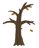 木の成長過程のイラスト10