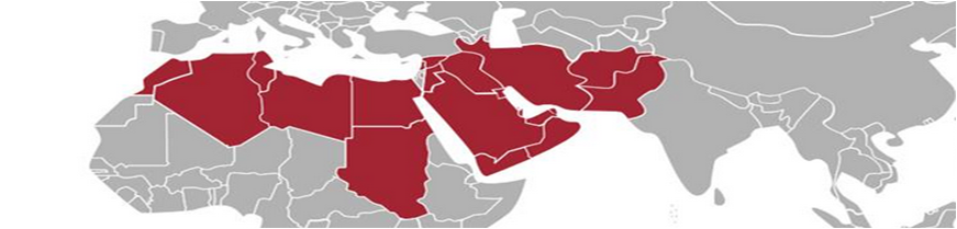 MENA Sguardi e Analisi di Claudio Bertolotti