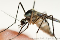 مكيف هواء لطرد حشرة "أنثى" الناموس والوقاية من الملاريا