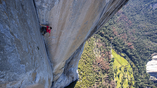 Free Solo – Recenze