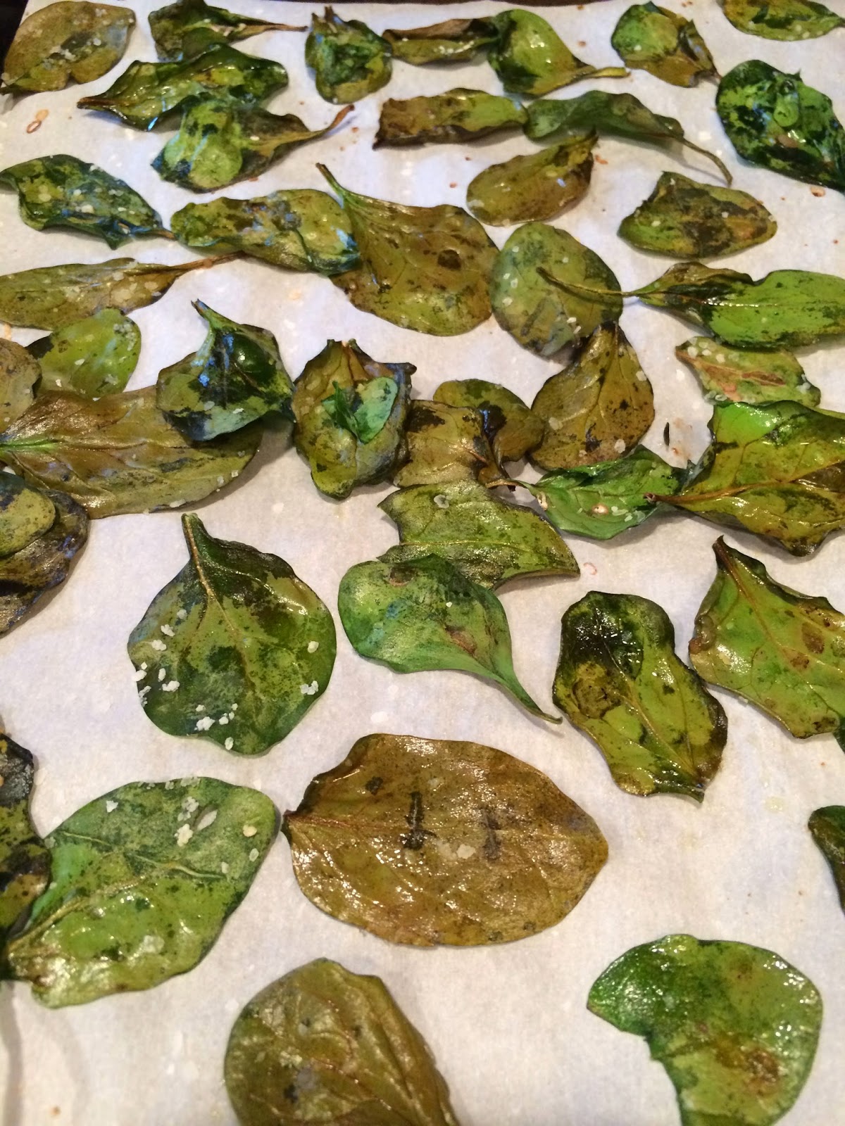 Food Impressions Salt n Vinegar Spinach Chips