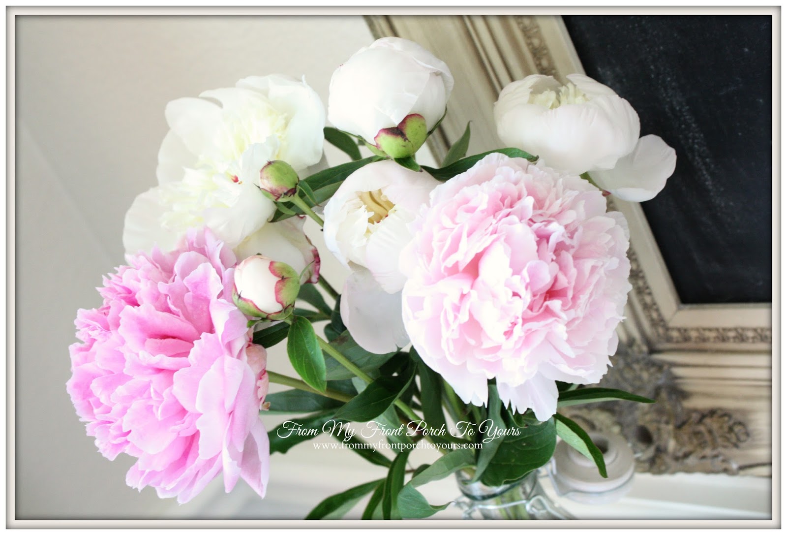 From My Front Porch To Yours- Peonies